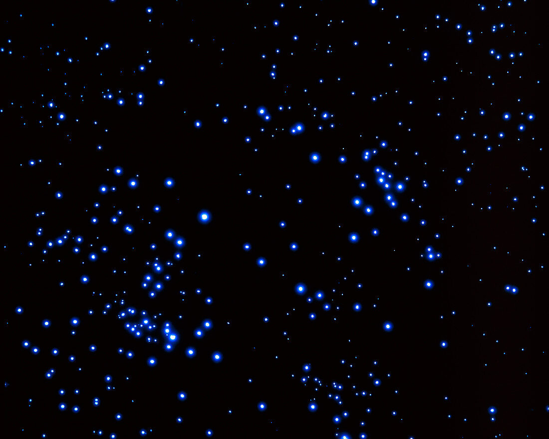 Artist's impression of a field of stars