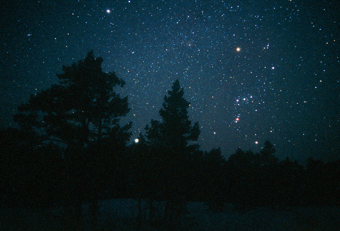 Starfield including Orion,Sirius & Betelgeuse