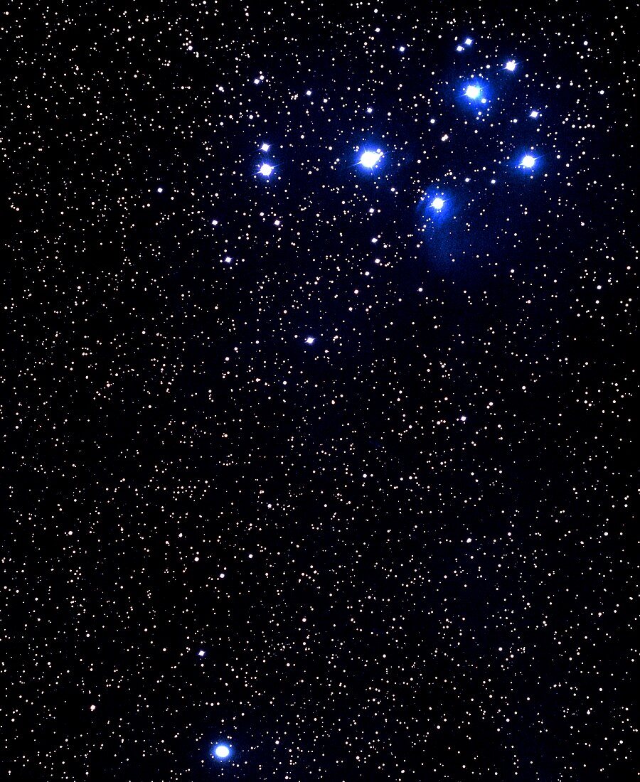 Optical photo of the Pleiades & Halley's Comet