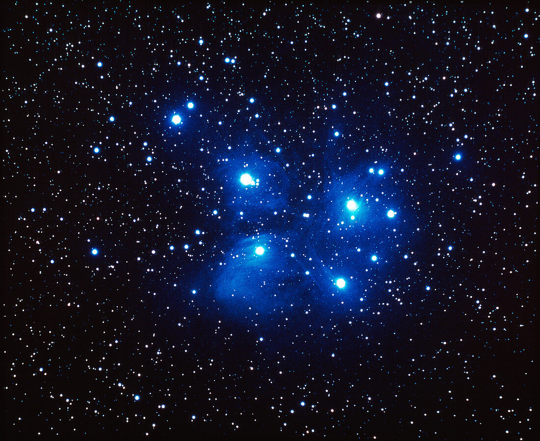 The Pleiades open star cluster