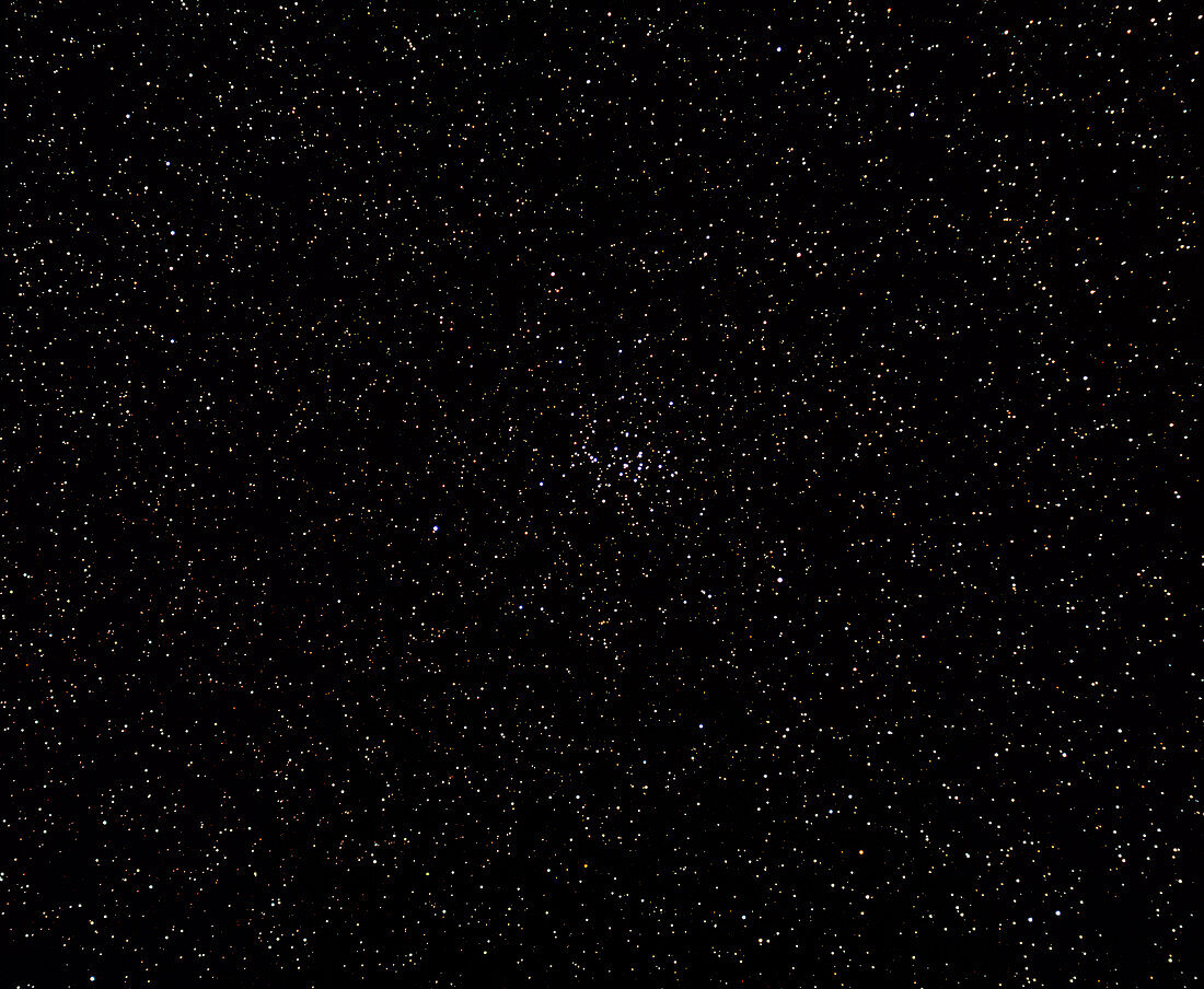 Beehive open cluster in the Cancer constellation