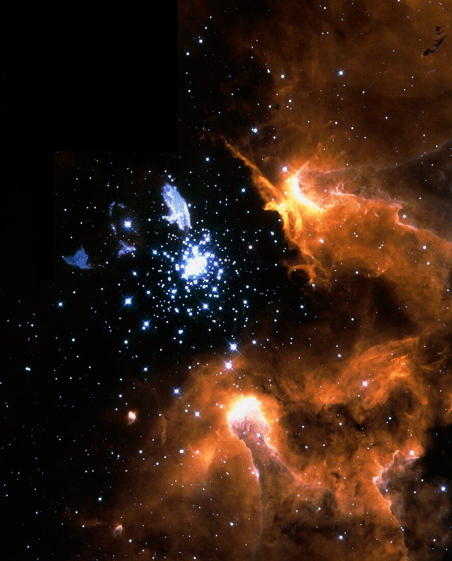 Starbith region in nebula NGC 3603