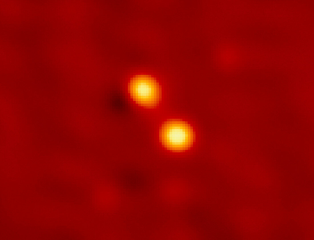 Binary star Capella as seen by COAST telescope