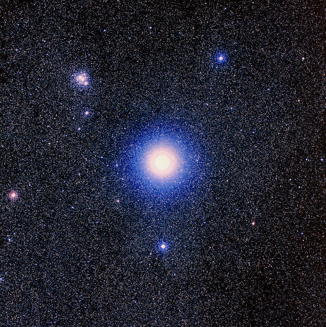 Optical image of the star Mimosa,or Beta Crucis
