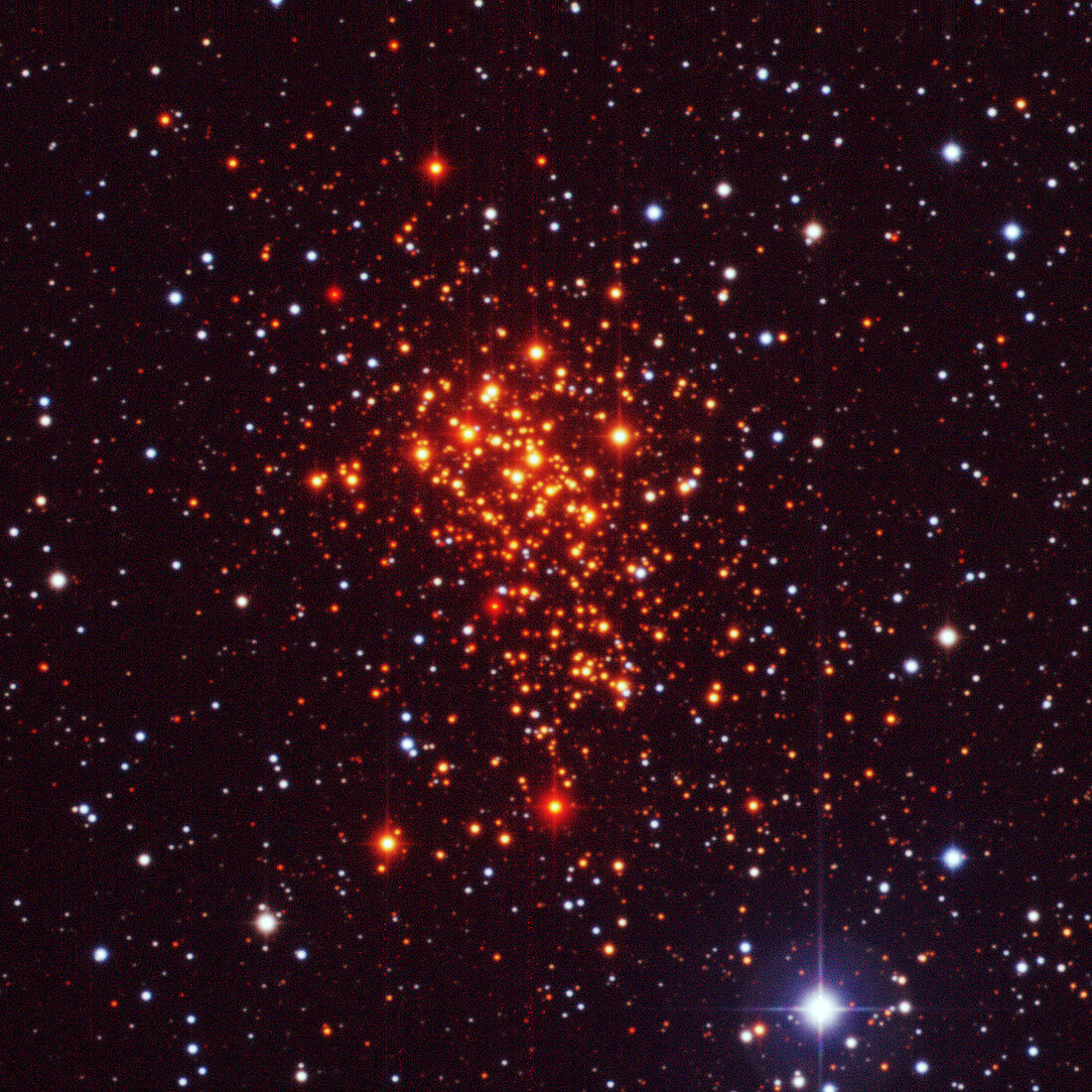 Super star cluster Westerlund 1