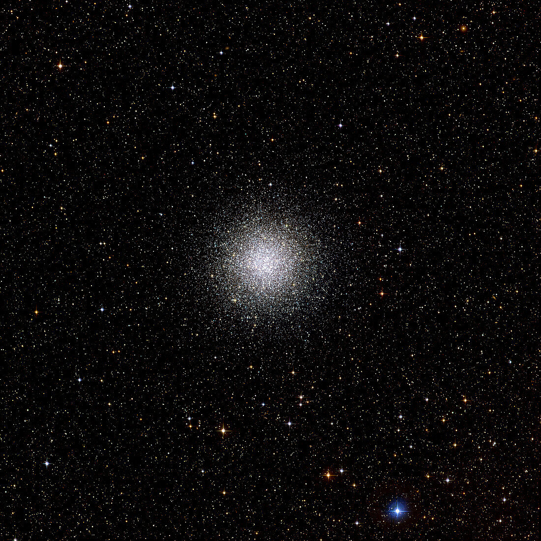 Globular star cluster M55 (NGC 6809)