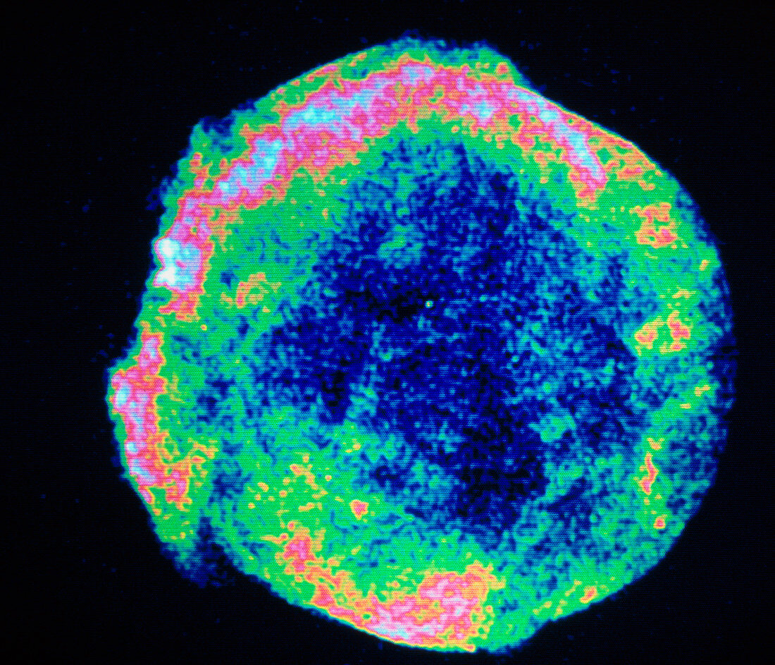 False-col radio image of Tycho's supernova remnant