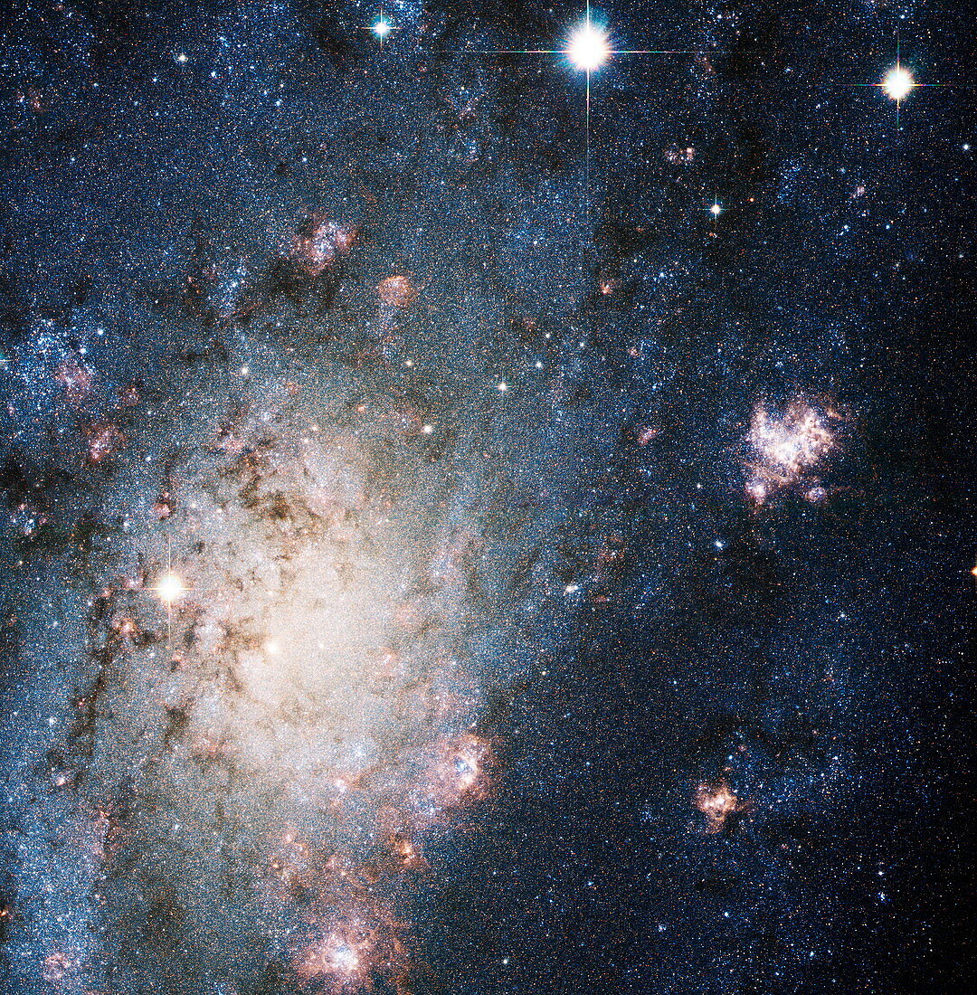 Supernova in NGC 2403