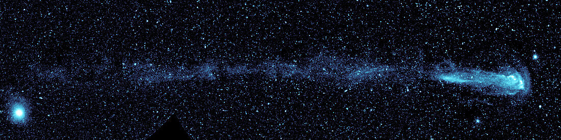 Mira star and tail,ultraviolet image
