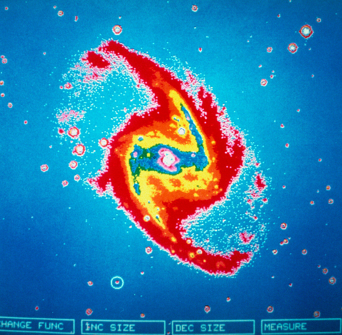 False-colour photo of barred spiral galaxy NGC1365