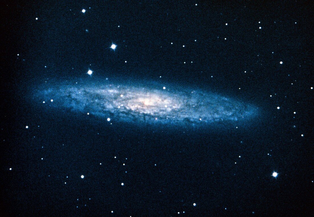Optical photo of the spiral galaxy NGC 253