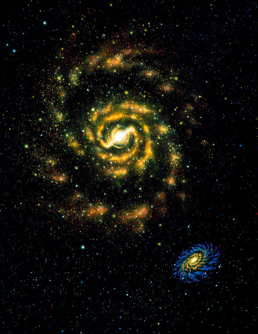 Barred and regular spiral galaxies