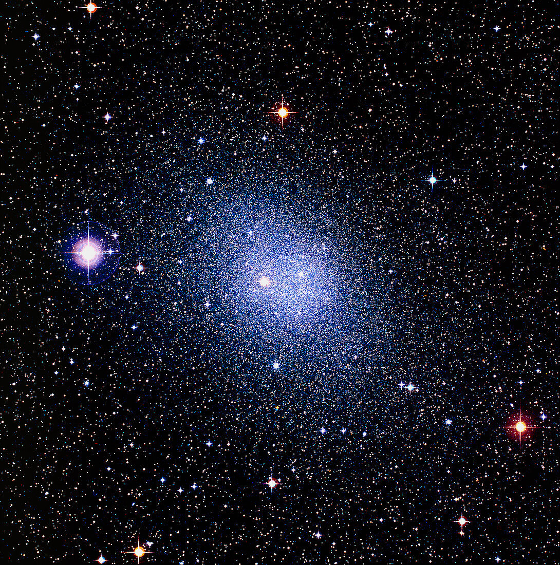 Optical image of the Fornax dwarf galaxy
