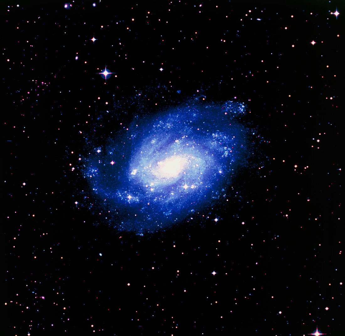 Optical image of the spiral galaxy NGC 300