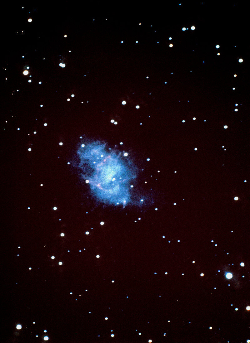 The Crab Nebula,photographed in blue light