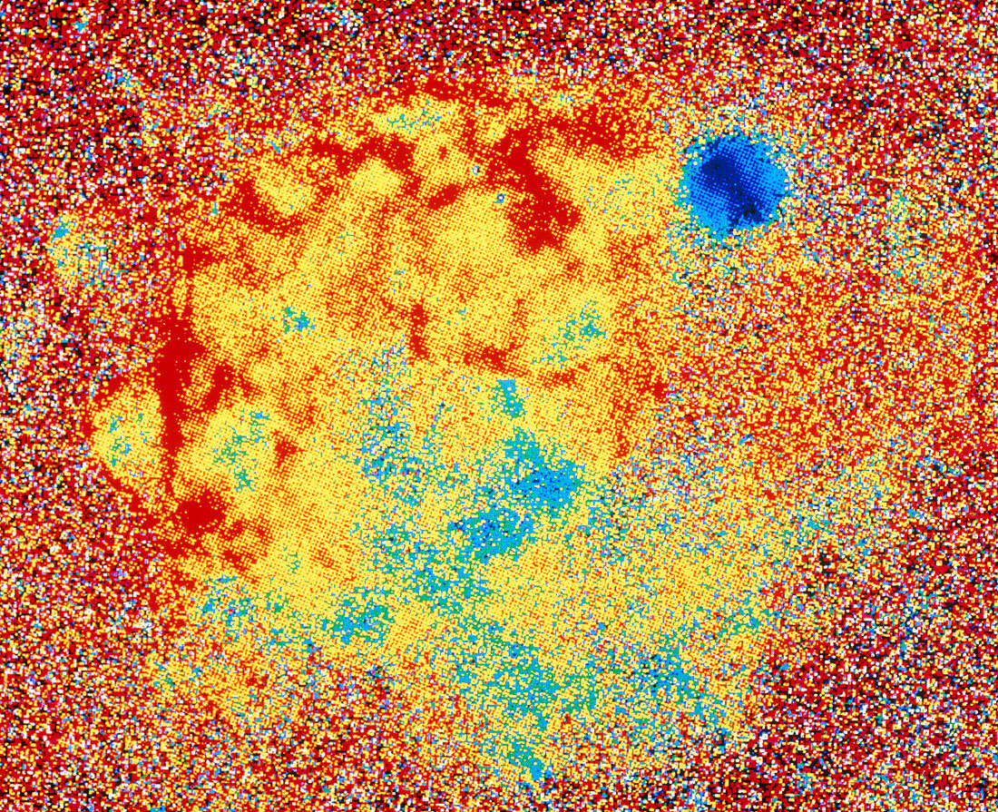 X-ray image of Vela & Puppis A supernova remnants