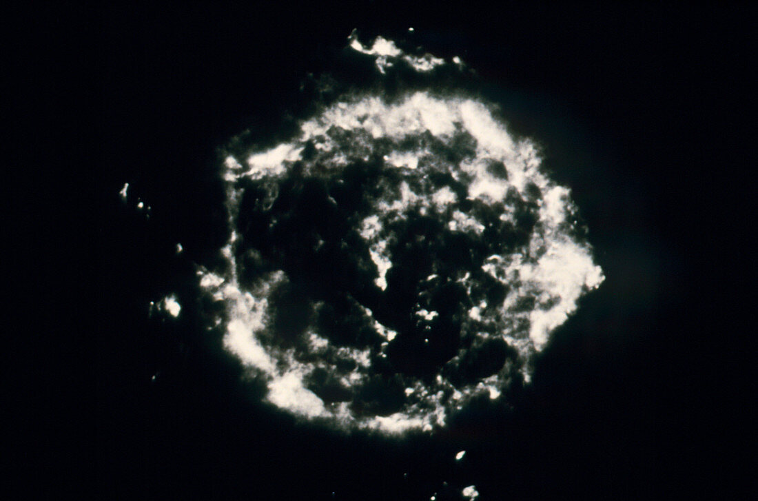 Radio photo of supernova remnant Cassiopeia A