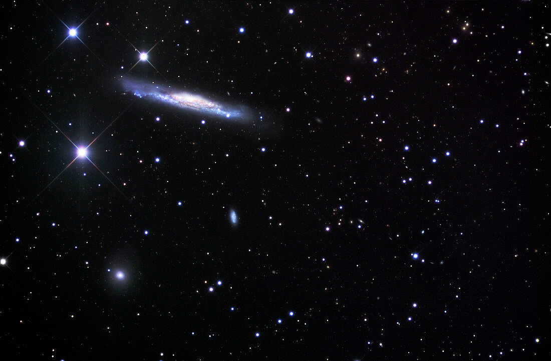 Barred spiral galaxy (NGC 3079)