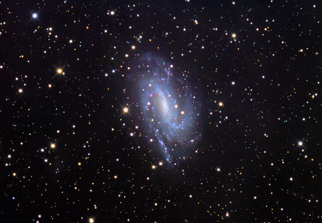 Spiral galaxy NGC 925,optical image