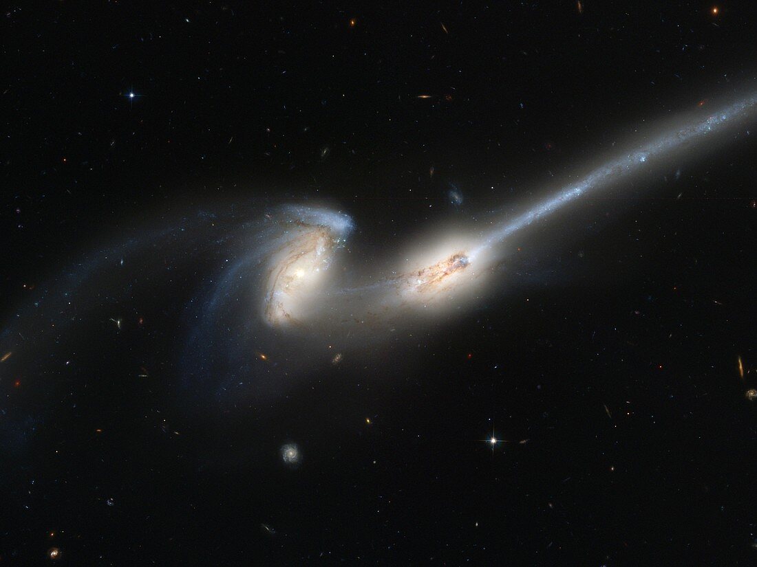 Mice colliding galaxies