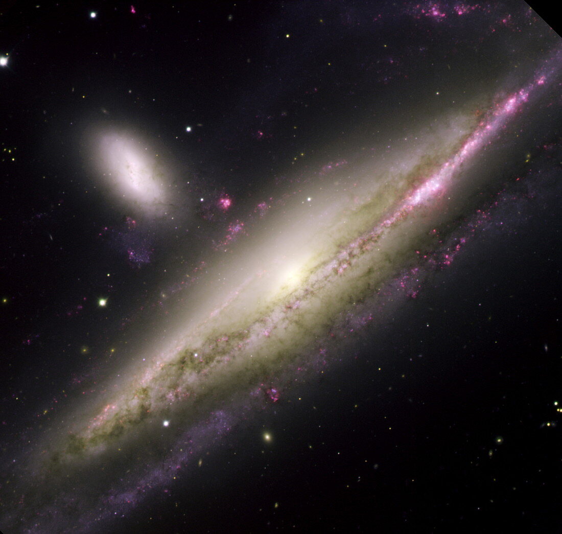 Colliding galaxies NGC 1531 and NGC 1532