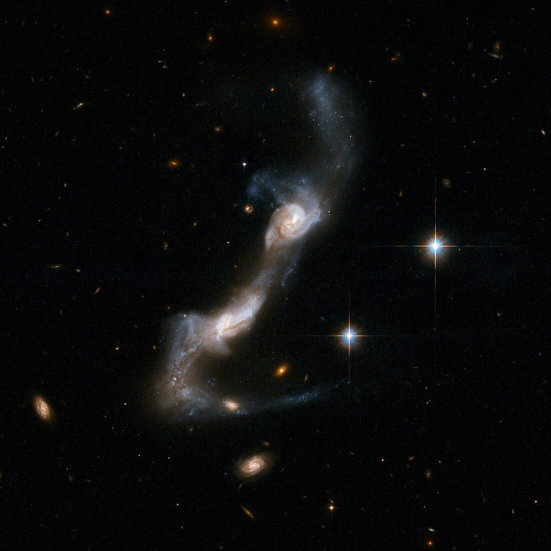 Interacting spiral galaxy UGC 8335