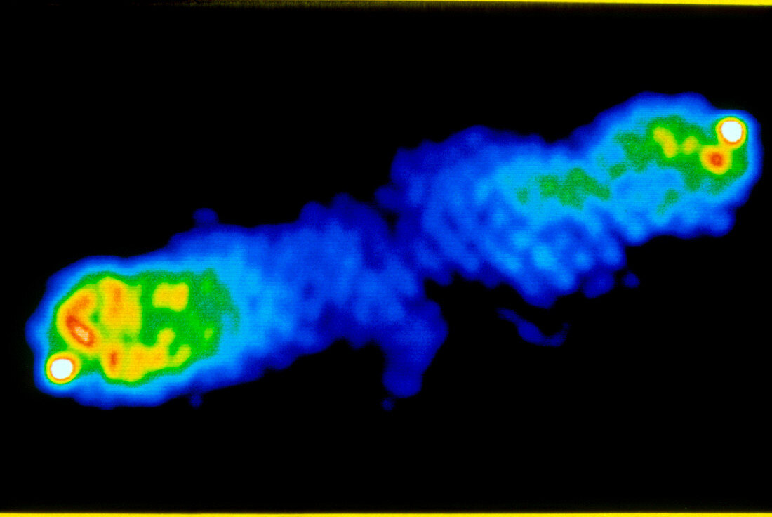 F/col radio image of active galaxy Cygnus A