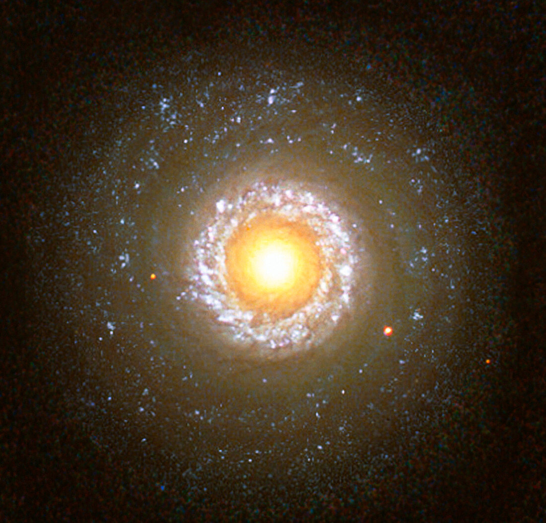 Seyfert galaxy NGC 7742