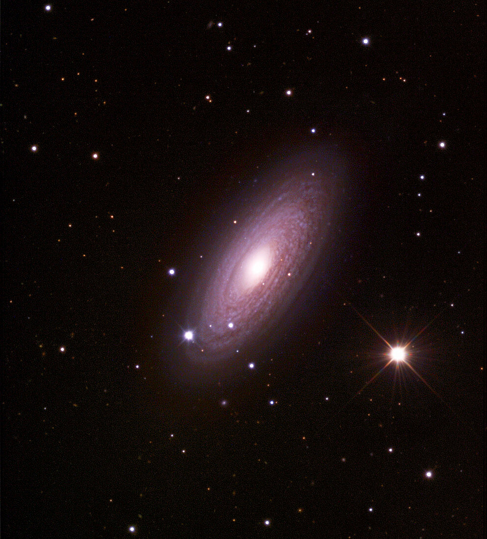 Spiral galaxy NGC 2841