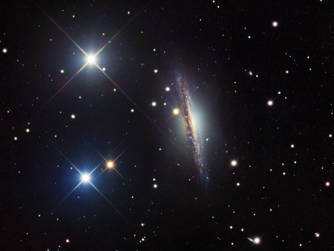 Active galaxy NGC 1055,optical image
