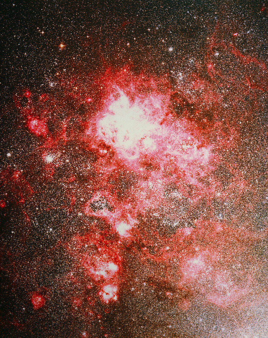 Optical image of the Tarantula nebula,30 Doradus