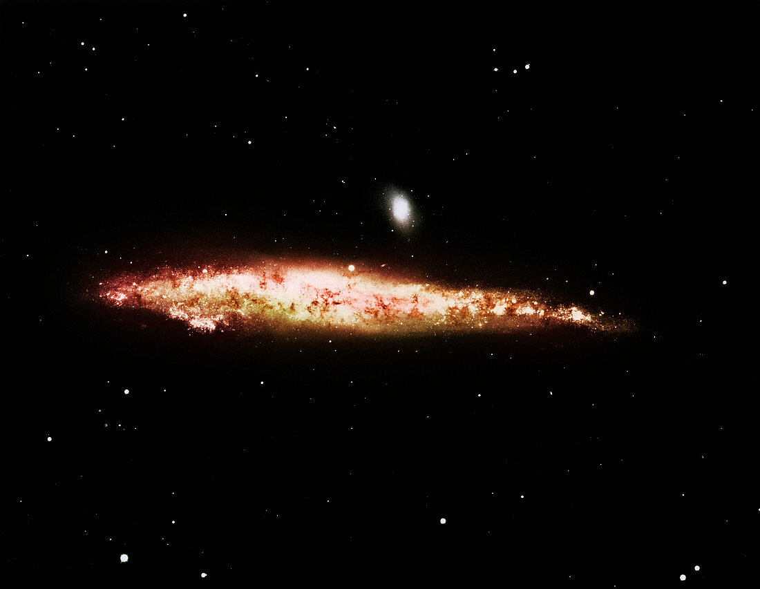 Spiral galaxy NGC 4631