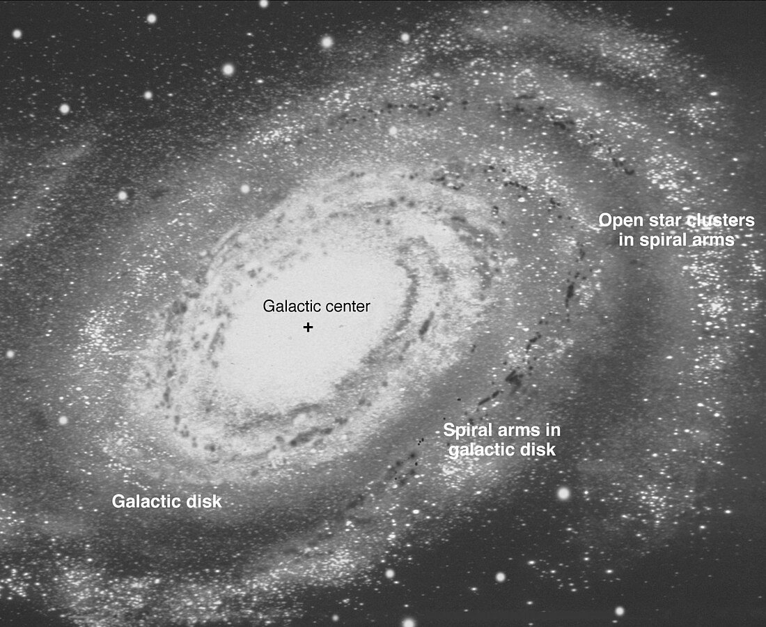 Spiral galaxy structure