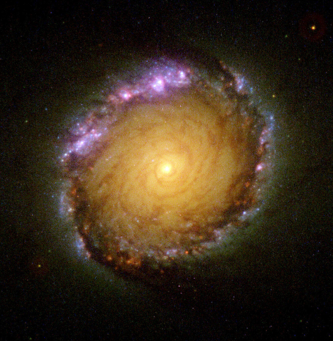 Spiral galaxy NGC 1512