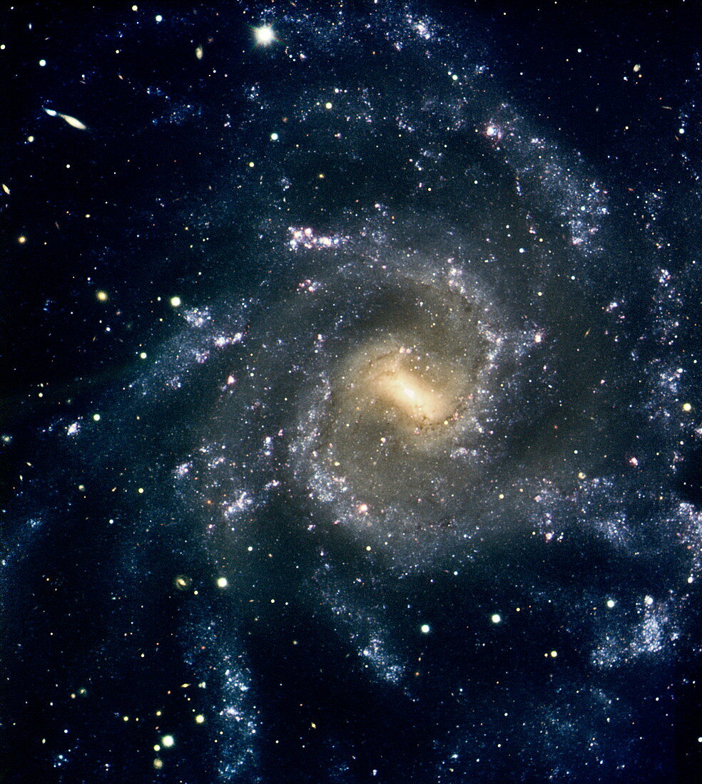 Spiral galaxy NGC 7424