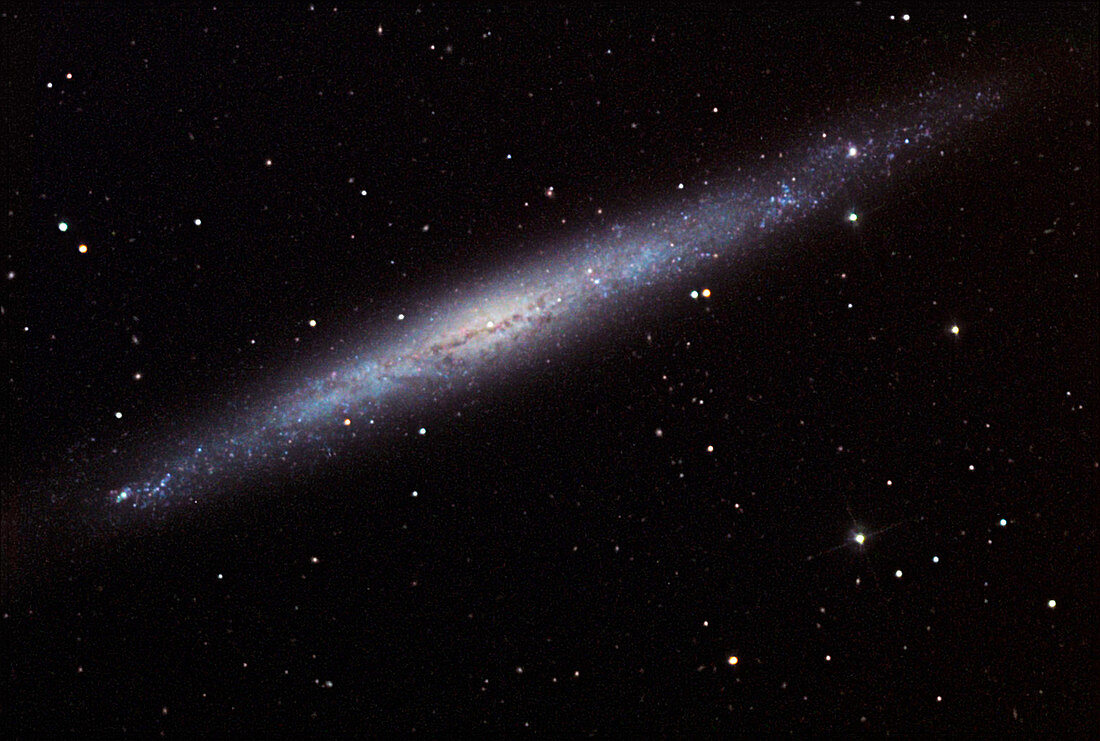 Spiral galaxy NGC 4244