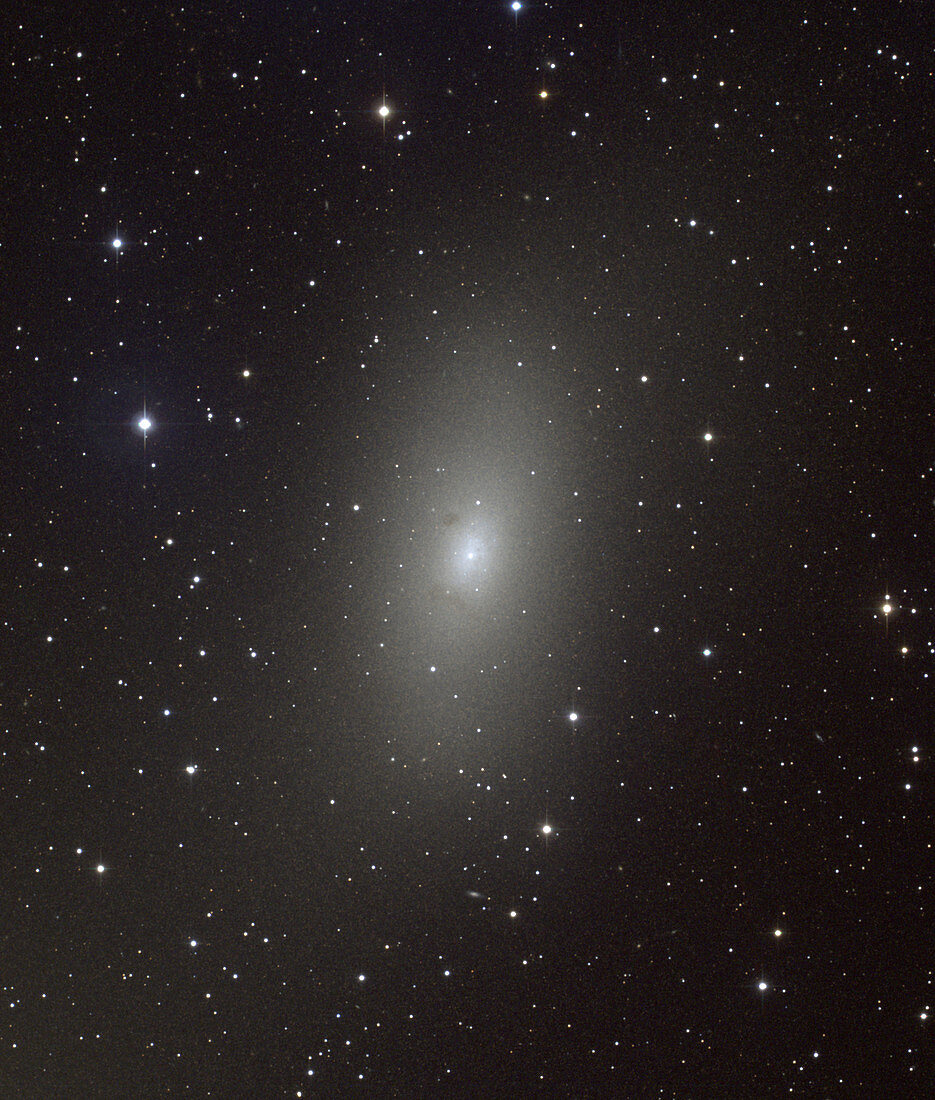 Dwarf elliptical galaxy M110