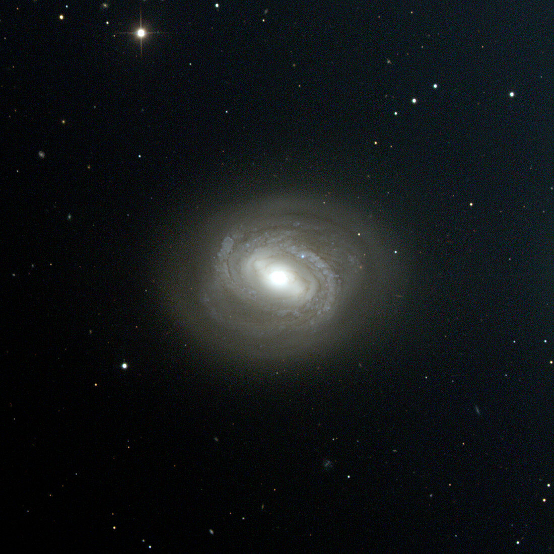 Barred spiral galaxy M58