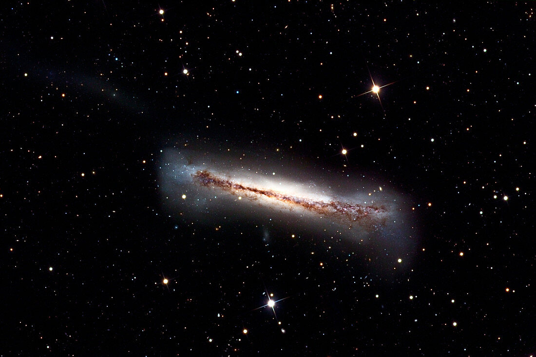 Spiral galaxy NGC 3628