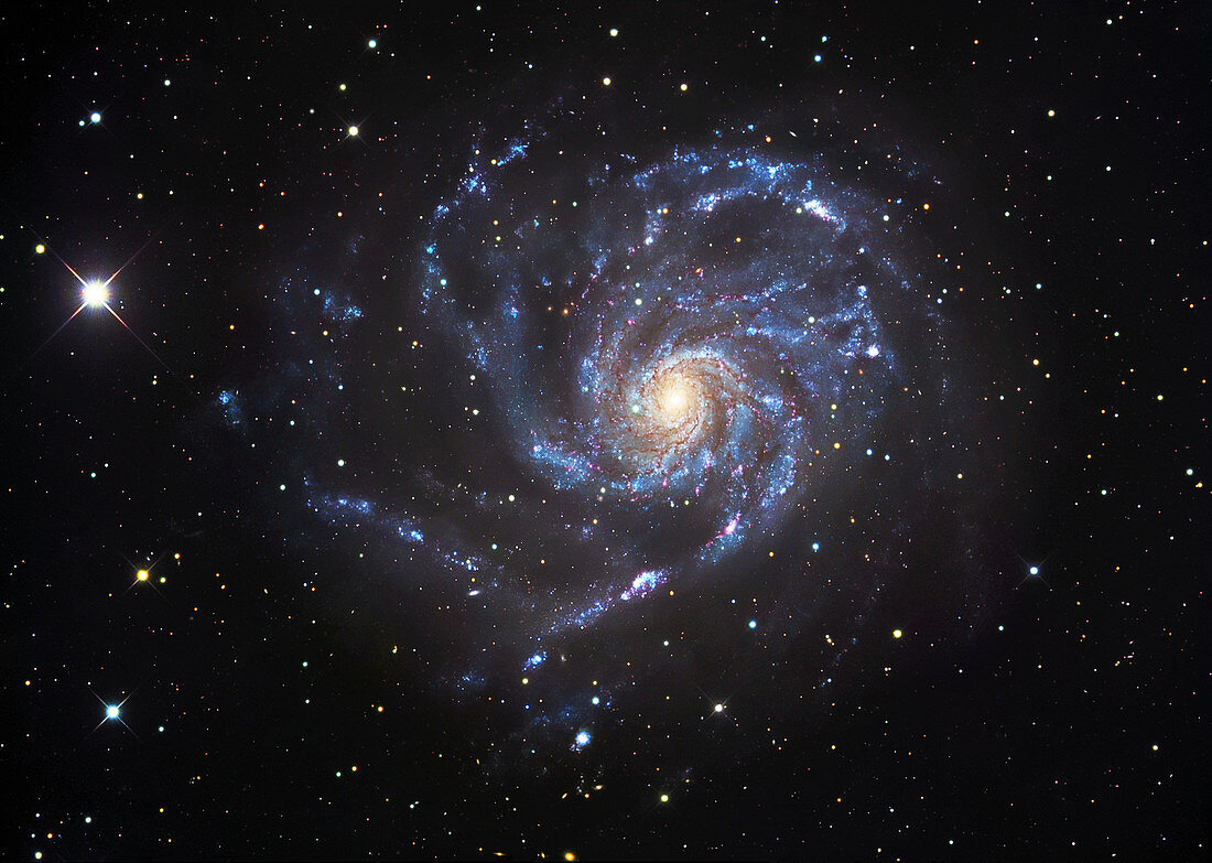 Pinwheel galaxy (M101)