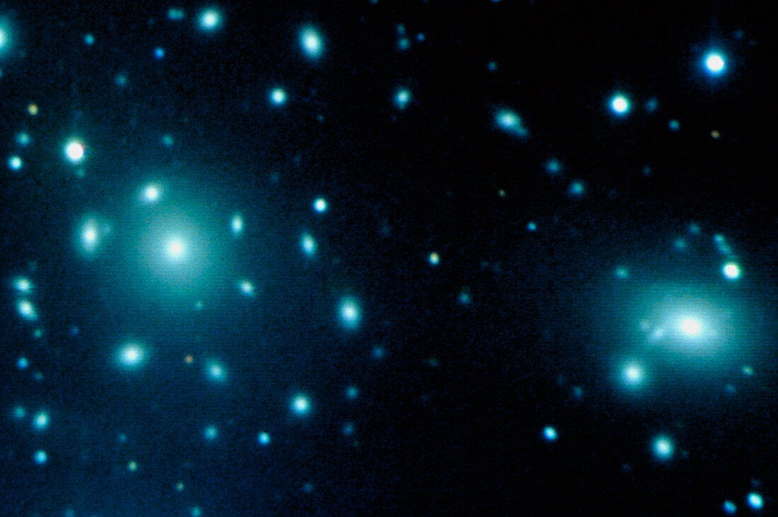 Optical image of the Coma cluster of galaxies