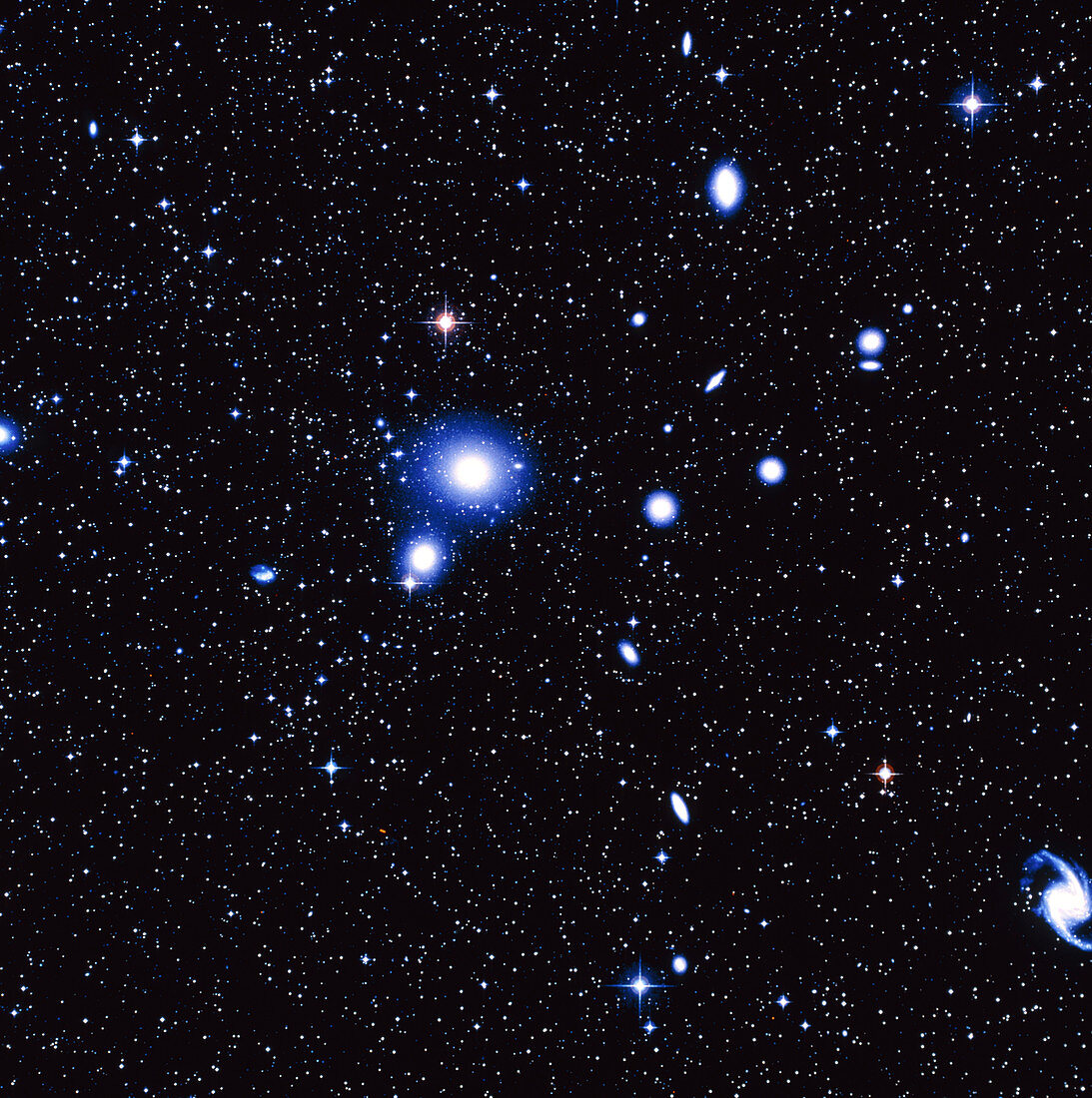Optical image of the Fornax cluster of galaxies