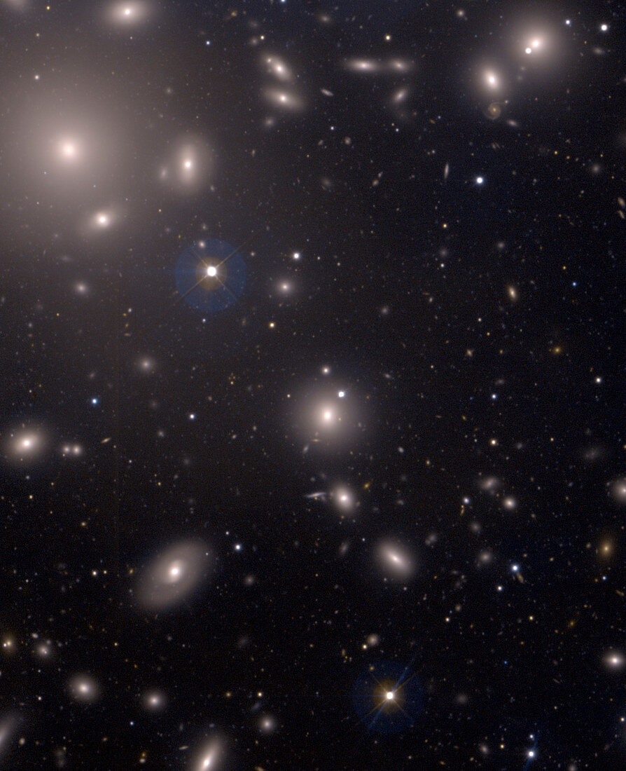 Coma galaxy cluster