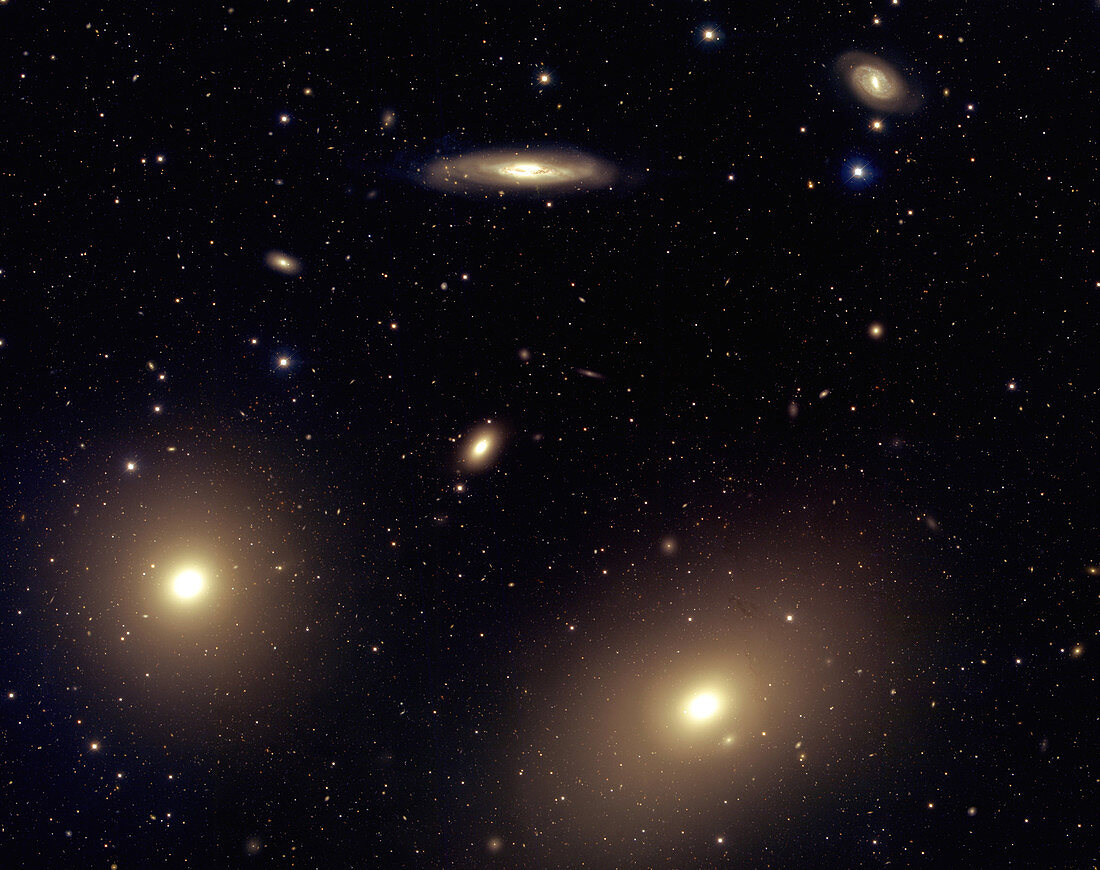 Virgo cluster galaxies