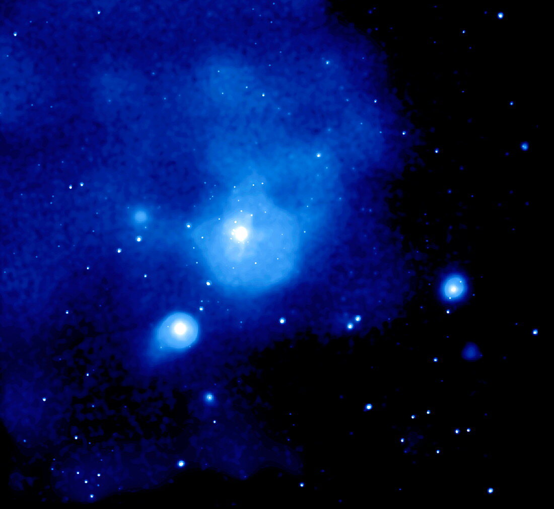 Fornax galaxy cluster