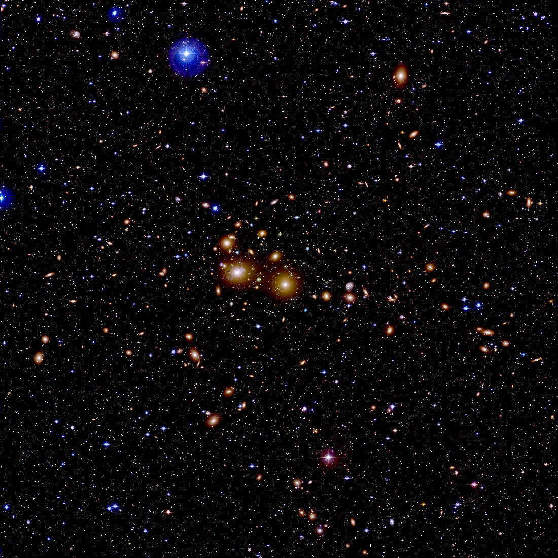 Perseus galaxy cluster (Abell 426)