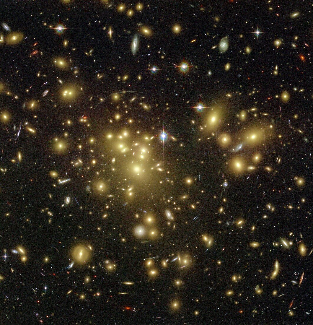 Lensed galaxies in a cluster