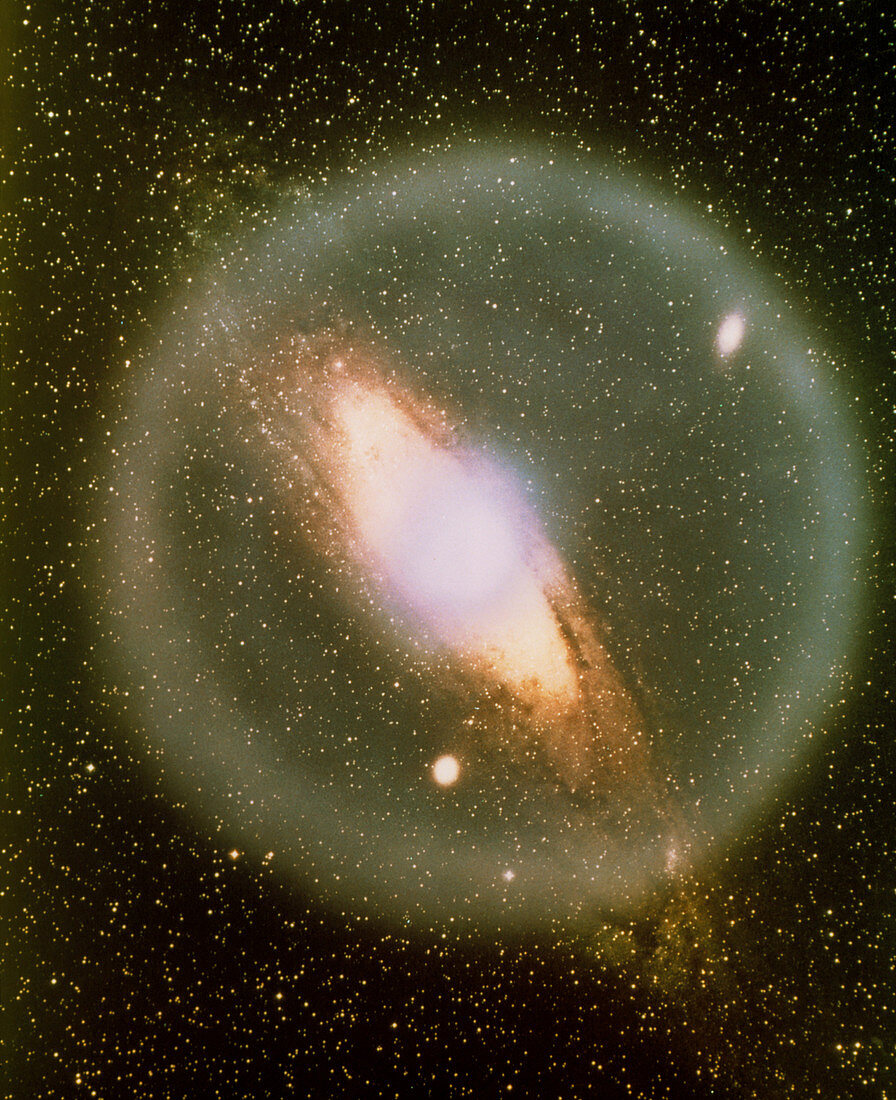 Spherical halo of neutrinos around a spiral galaxy