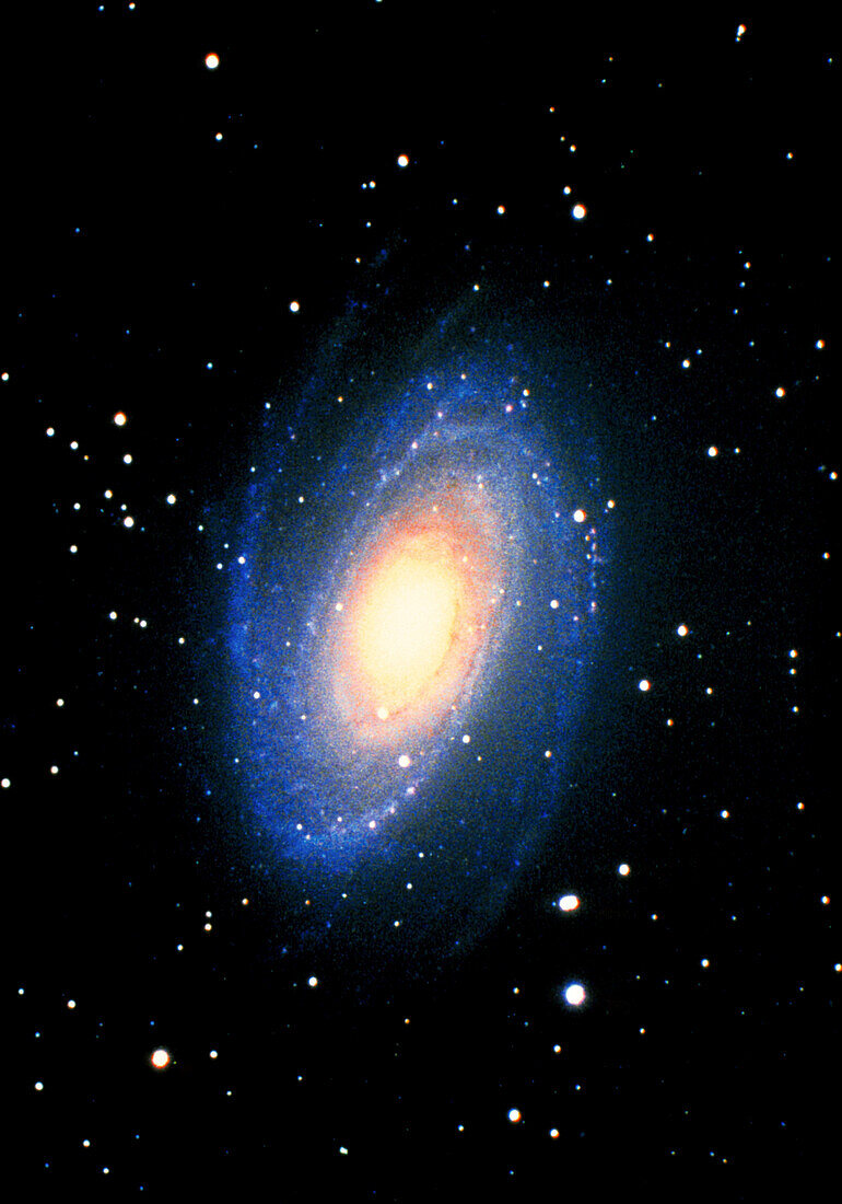 Optical image of the spiral galaxy M81