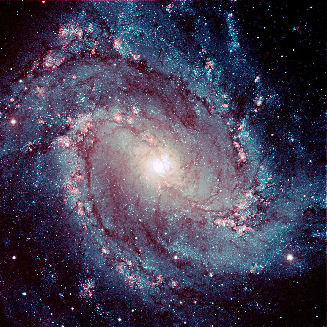 Spiral galaxy M83